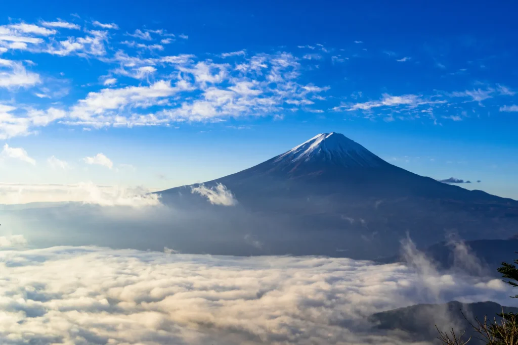 AdobeStock_234404802 (1)